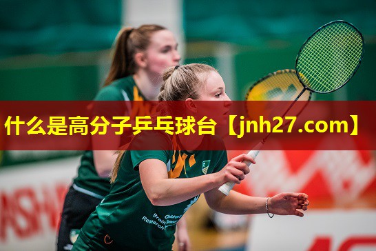 什么是高分子乒乓球台
