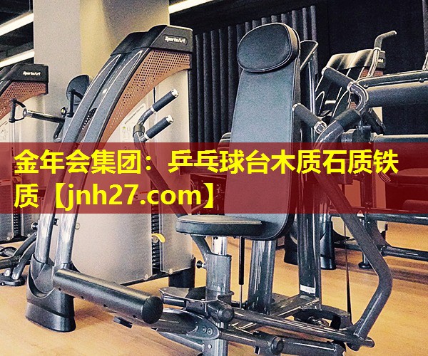 乒乓球台木质石质铁质