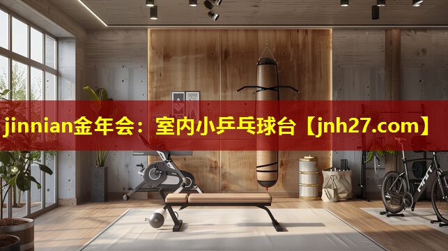 室内小乒乓球台